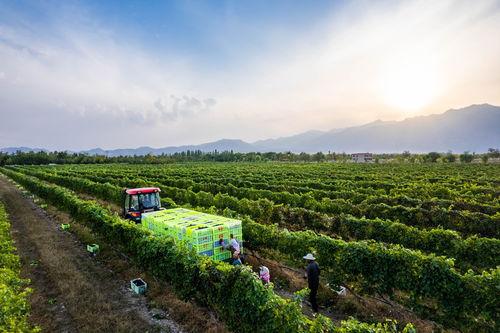 国产视频3p,揭秘中国影视行业的新趋势与挑战  第2张