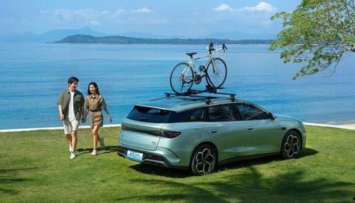 国产亚洲区,崛起中的文化力量与市场潜力 第3张 国产亚洲区,崛起中的文化力量与市场潜力 第3张